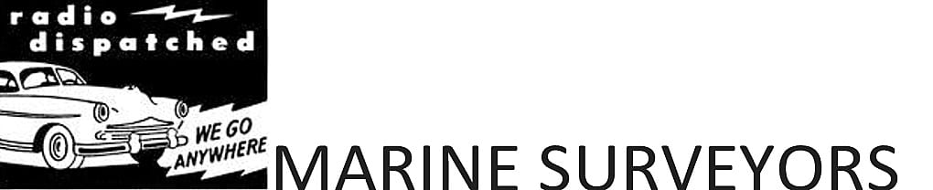 This image has an empty alt attribute; its file name is RAdio-dispathced-marine-surveyors.jpg